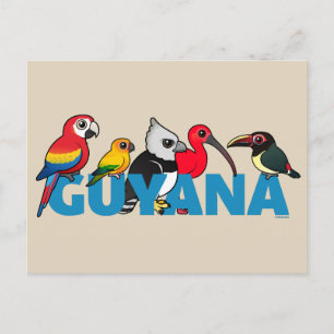 Cartão Postal Birdorable Guyana