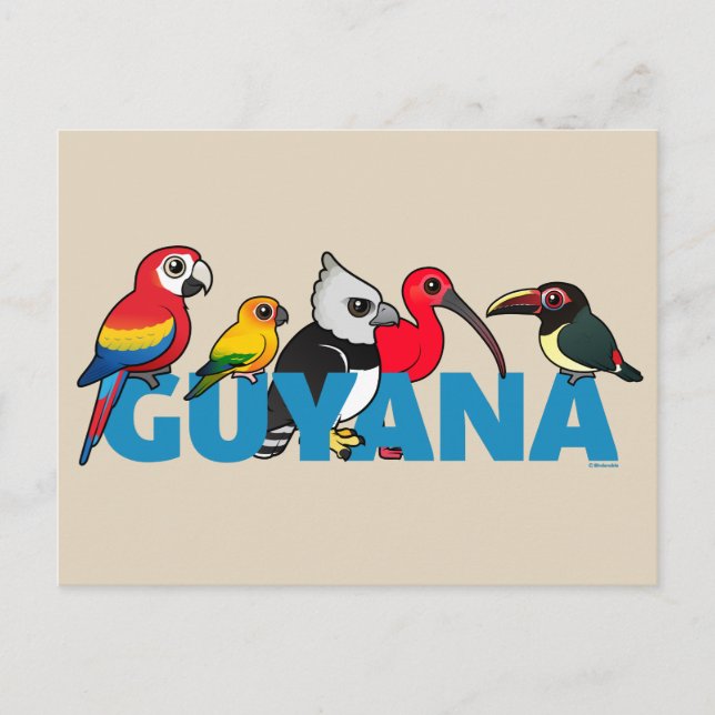 Cartão Postal Birdorable Guyana (Frente)