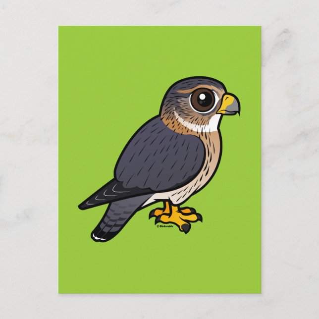 Cartão Postal Birdorable Merlin (Frente)