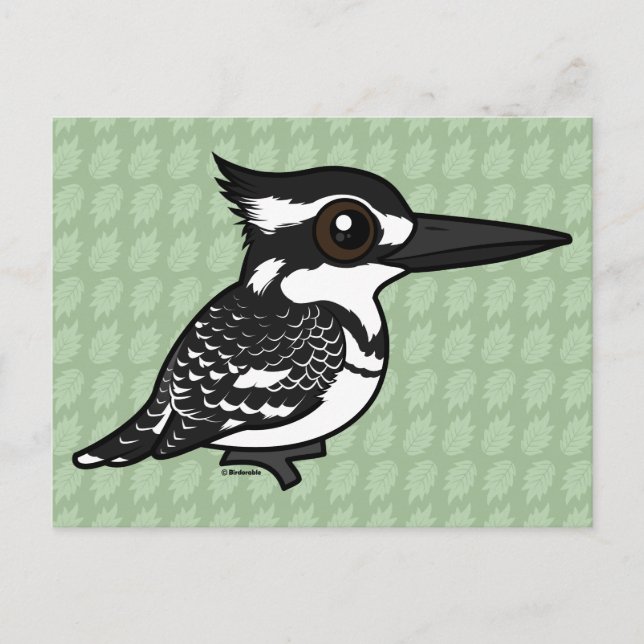 Cartão Postal Birdorable Pied Kingfisher (Frente)