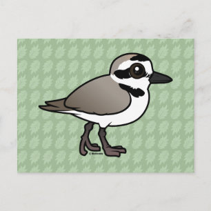 Cartão Postal Birdorable Snowy Plover