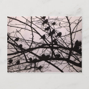 Cartão Postal Birds Silhouettes.jpg
