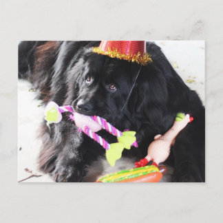 Cartão Postal Birthday Bear