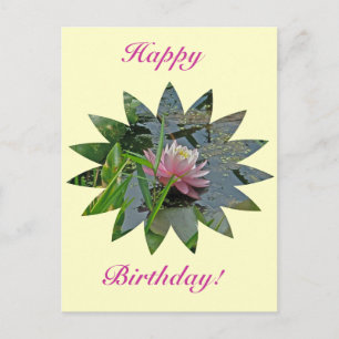 Cartão Postal Birthday Pink Water Lily