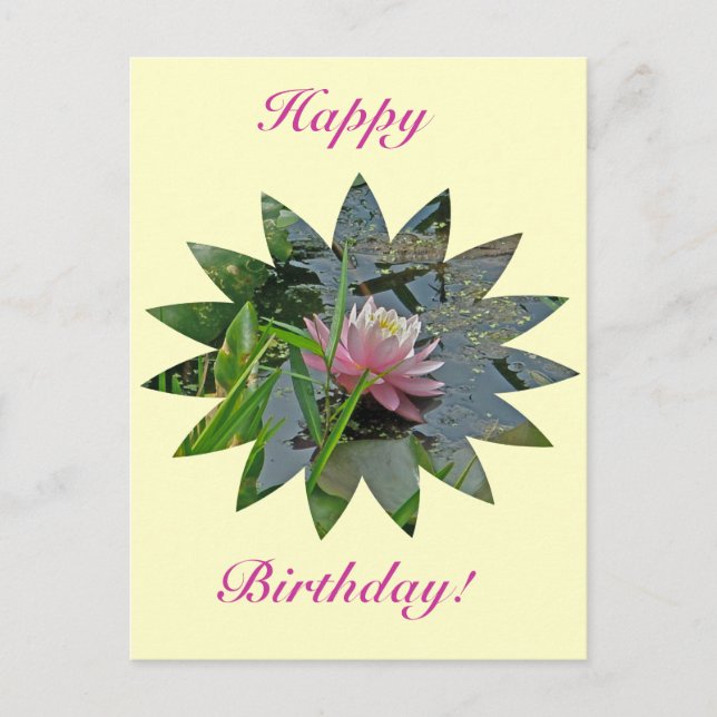 Cartão Postal Birthday Pink Water Lily (Frente)