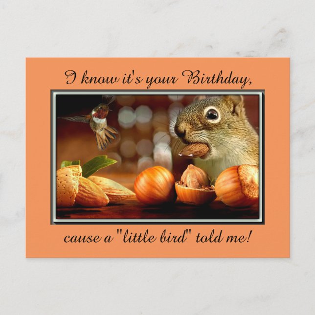 Cartão Postal Birthday Squirrel (Frente)