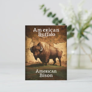 Cartão Postal Bisão Americano em um Mapa