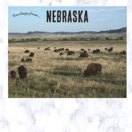 Cartão Postal Bisões em Nebraska