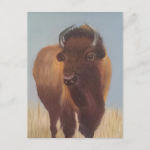 Cartão Postal Bison