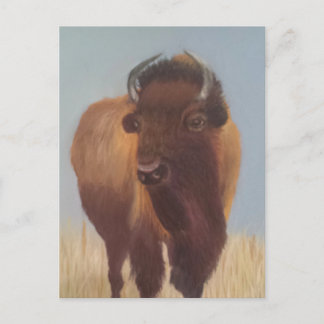 Cartão Postal Bison