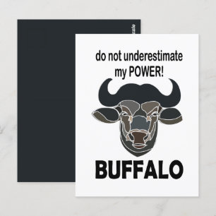 Cartão Postal Bison Animal Buffalo