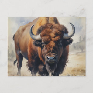Cartão Postal Bison / Buffalo