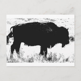 Cartão Postal Bison - Buffalo