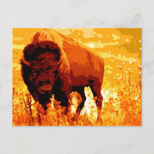 Cartão Postal Bison / Buffalo