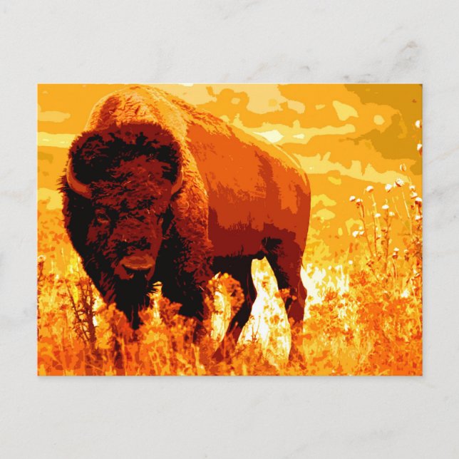 Cartão Postal Bison / Buffalo (Frente)