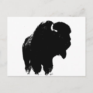 Cartão Postal Bison Buffalo, Pop de Arte Negra