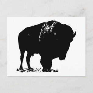 Cartão Postal Bison Buffalo, Pop de Arte Negra