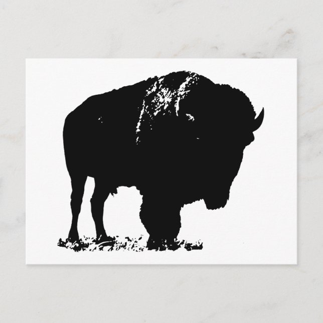 Cartão Postal Bison Buffalo, Pop de Arte Negra (Frente)