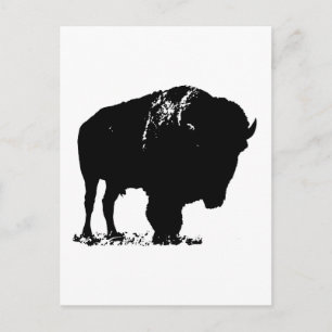 Cartão Postal Bison Buffalo, Pop de Arte Negra