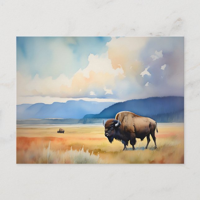 Cartão Postal Bison no Prado (Frente)