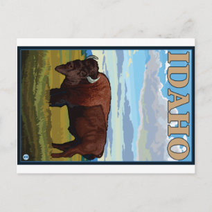 Cartão Postal Bison Scene - Idaho