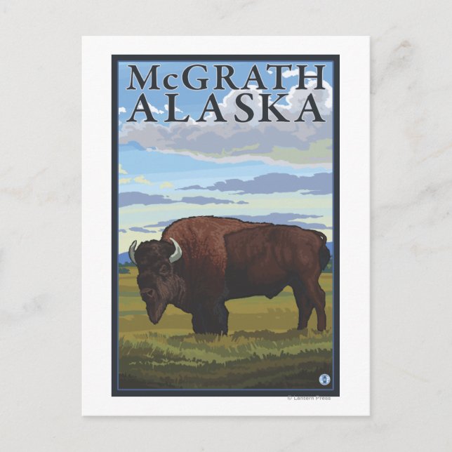 Cartão Postal Bison Scene - McGrath, Alaska (Frente)