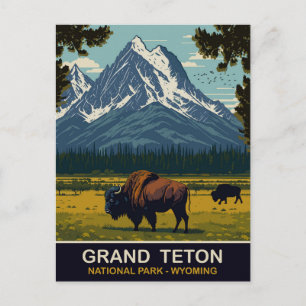 Cartão Postal Bisons, Grand Teton Natural Park, Wyoming, Viagem