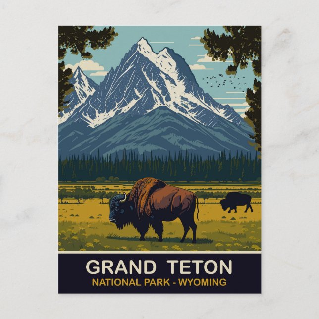 Cartão Postal Bisons, Grand Teton Natural Park, Wyoming, Viagem (Frente)