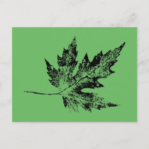 Cartão Postal "Black and Green Maple" Estradas Rurais Postcard