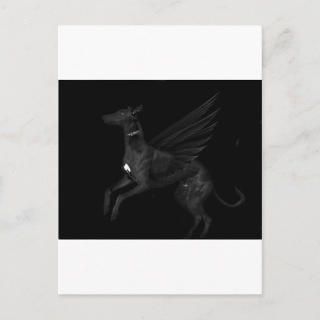 Cartão Postal Black Angel Greyhound (Frente)