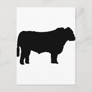 Cartão Postal Black Angus Silhouette