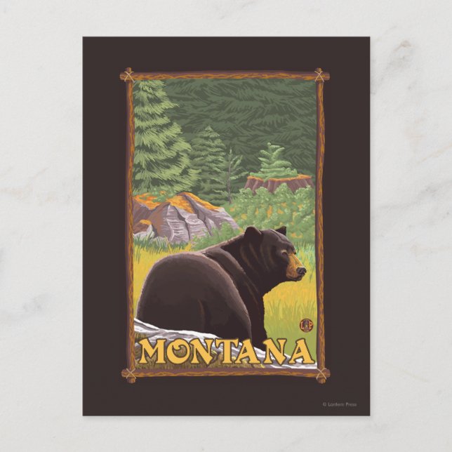 Cartão Postal Black Bear in Forest - Montana (Frente)