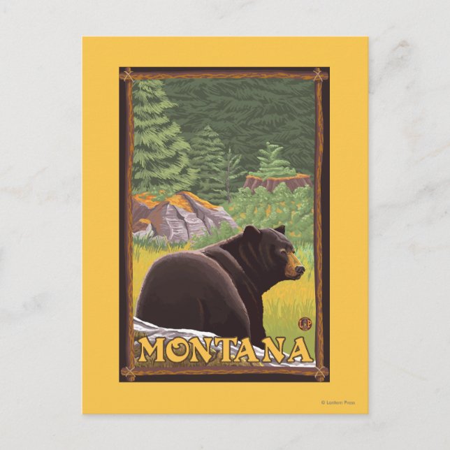 Cartão Postal Black Bear in Forest - Montana (Frente)