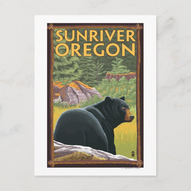 Cartão Postal Black Bear in Forest - Sun River, Oregon (Frente)