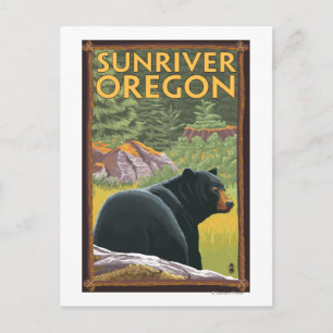 Cartão Postal Black Bear in Forest - Sun River, Oregon