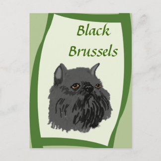 Cartão Postal Black Bruxelas Griffon