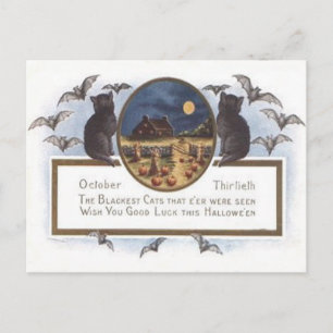 Cartão Postal Black Cat Bat Farm Pumpkin Haystack Full Moon