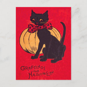 Cartão Postal Black Cat Bowtie Pumpkin Vintage
