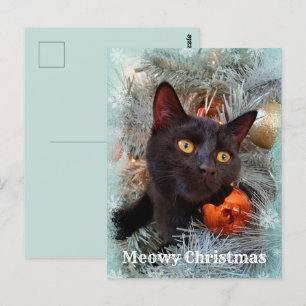 Cartão Postal Black Cat Feliz Natal