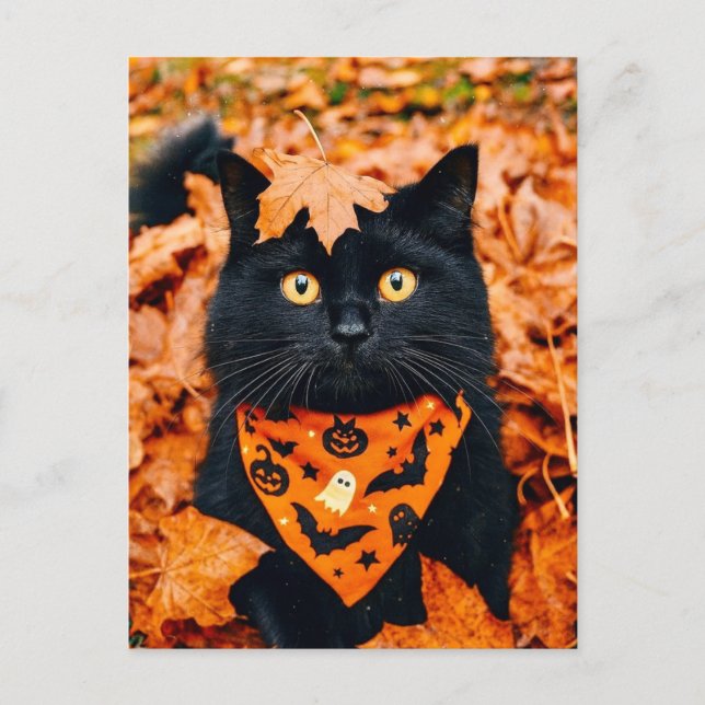 Cartão Postal Black Cat Happy Halloween Postcard (Frente)