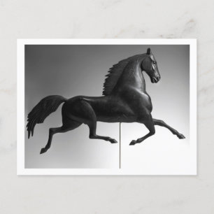 Cartão Postal Black Hawk Weathervane