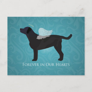 Cartão Postal Black Lab Pet Memorial Simpatia Pet Pet Loss Desig