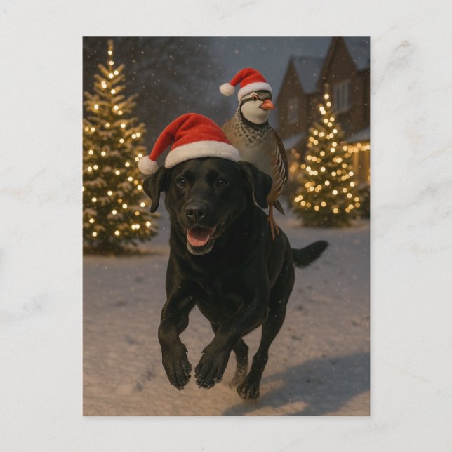 Cartão Postal Black Labrador and Partridge Christmas postcard (Frente)