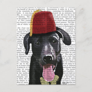 Cartão Postal Black Labrador Com Fez