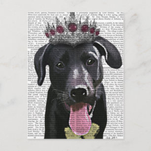 Cartão Postal Black Labrador com Tiara