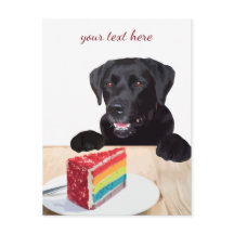 Black Labrador - Feliz Aniversário - Obrigado, Cão