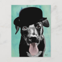 Black Labrador in Bowler Hat
