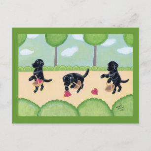 Cartão Postal Black Labrador na floresta