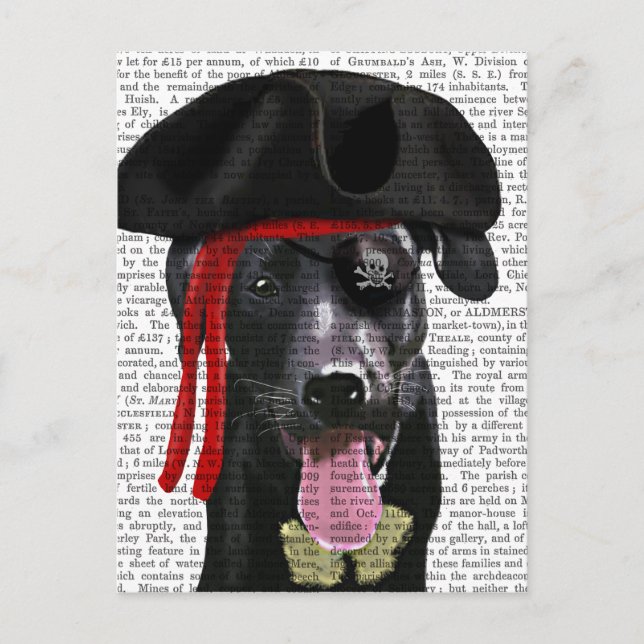Cartão Postal Black Labrador Pirate (Frente)