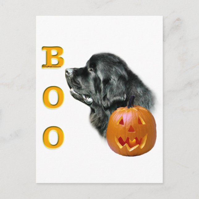 Cartão Postal Black Newfound Boo (Frente)